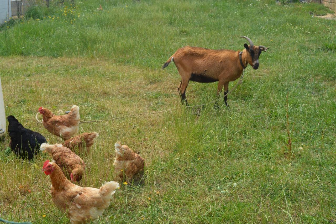 Detente Et Confort - Gite Baie Bocage Sartilly-Baie-Bocage Bagian luar foto